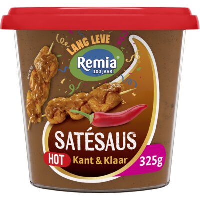 Remia Satésaus hot kant en klaar 250 gram - The Dutch Snackshop