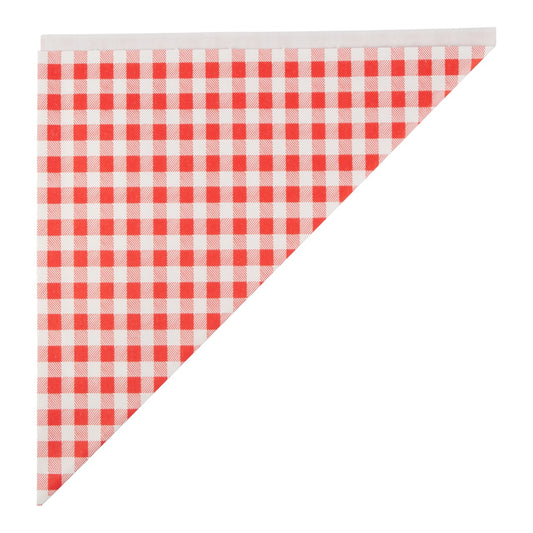 Take Dis Puntzak K21 ruit rood FSC - Doos 5 kg