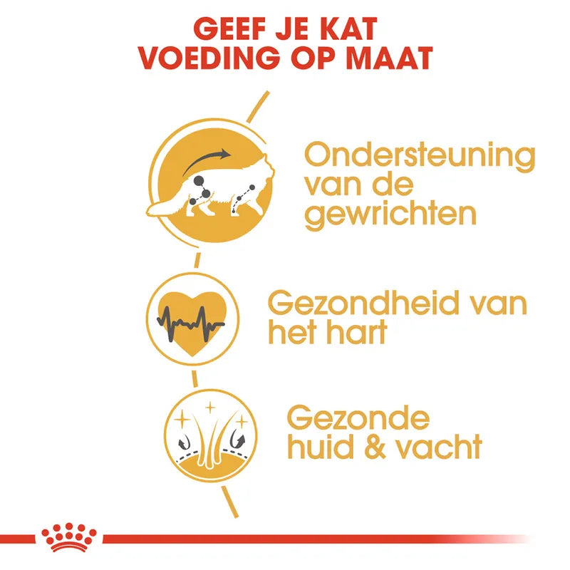 Royal Canin Maine Coon voordelen