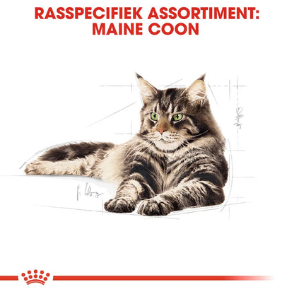 Royal Canin Maine Coon raskat assortiment