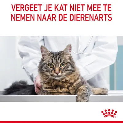 Royal Canin Dental Care dierenarts advies